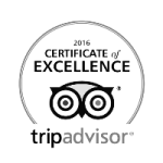 Tripadvisor